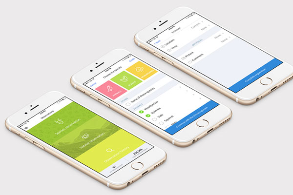 企業自己開發APP面臨著那些難題?
