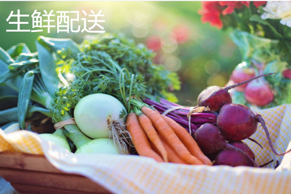 生鮮電商APP開發