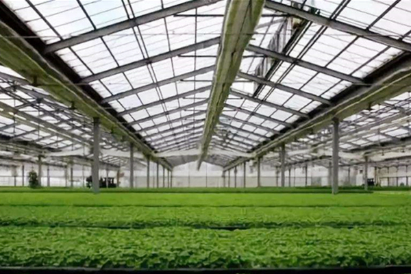 溫室大棚環境監控系統